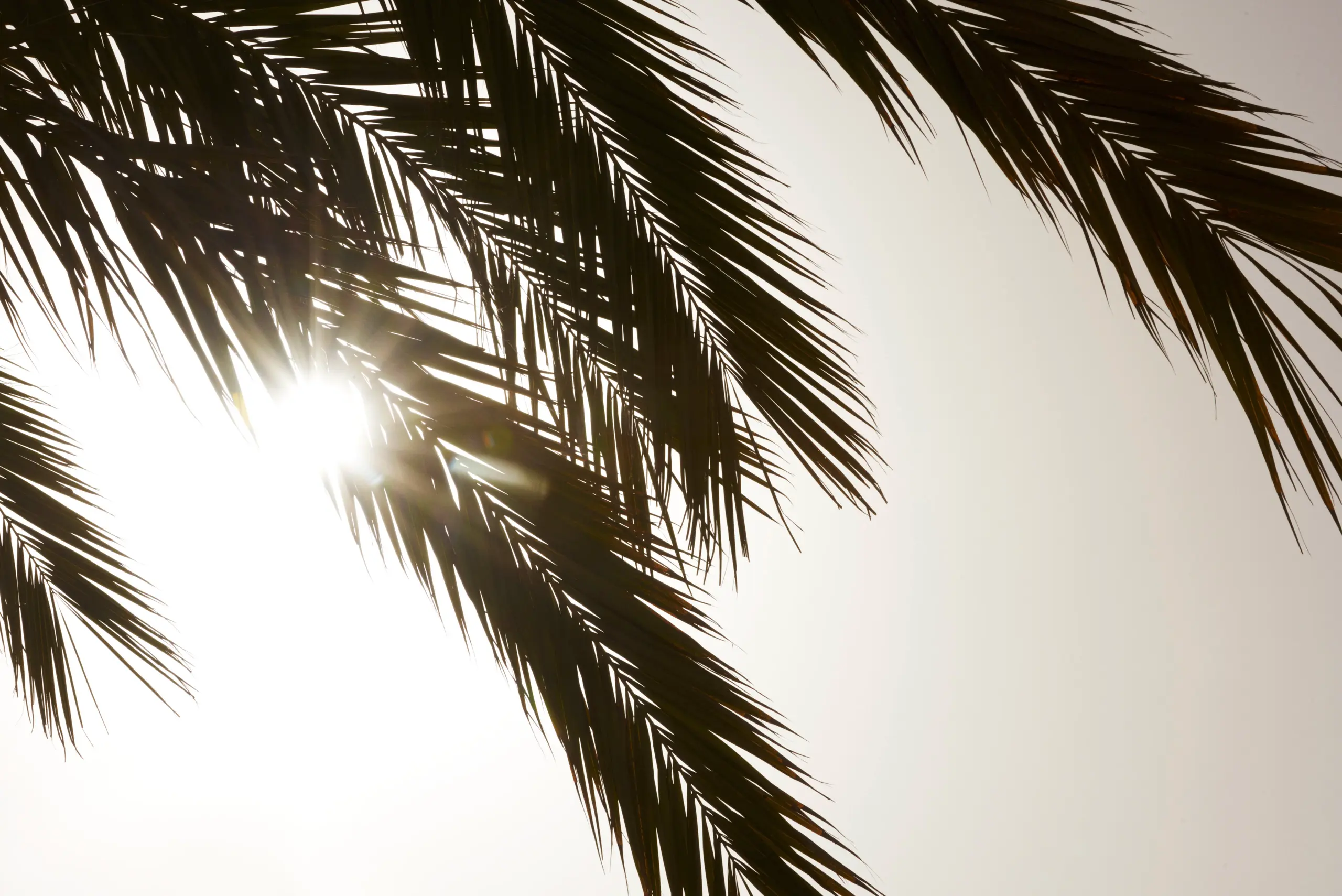 La Biosthetique Soleil 7
